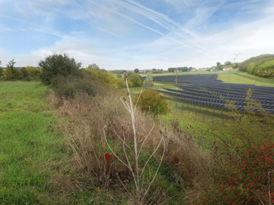 [Translate to English:] Les Mousquetaires et Q ENERGY France annoncent la signature d’un contrat d’achat direct d’électricité renouvelable